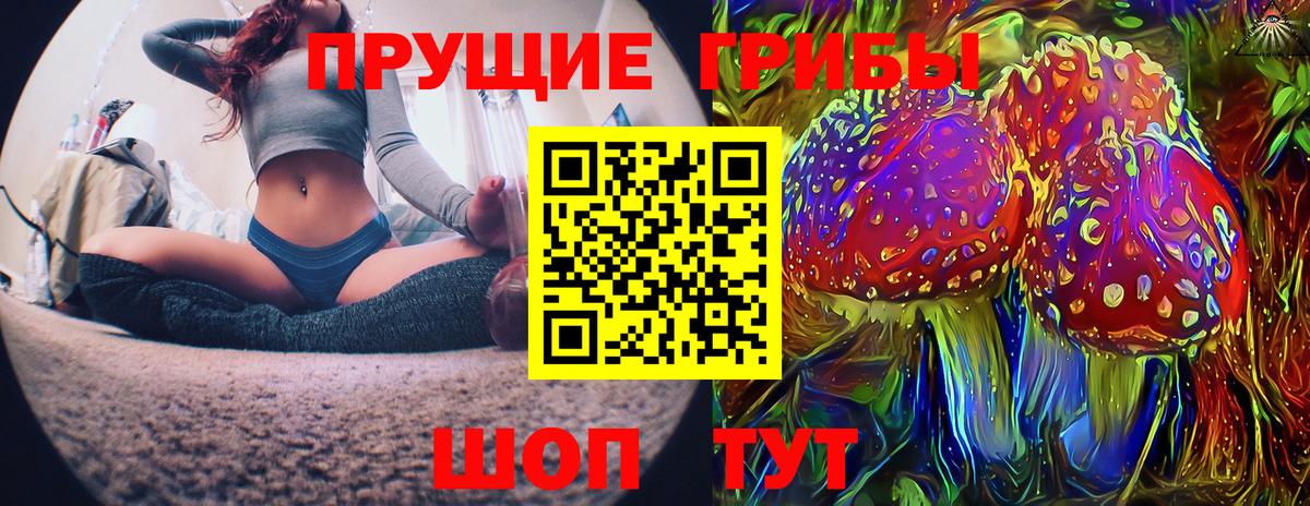 Славянск-на-Кубани  закладка  Вход с VPN  Галлюциногенные грибы прущие грибы 