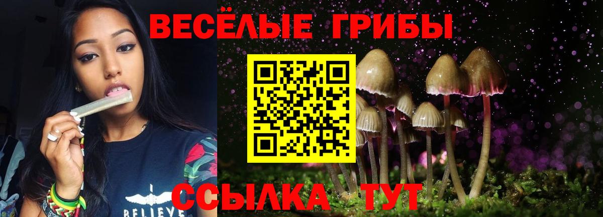 Галлюциногенные грибы Cubensis Славянск-на-Кубани